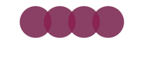 foursolutions branco RGB 01 300x150 1