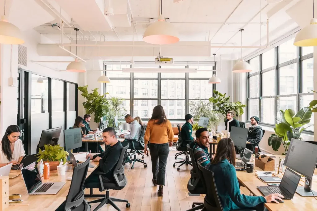 looking for an office