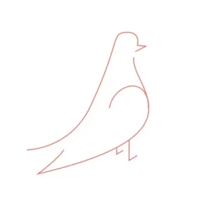 logo pigeon